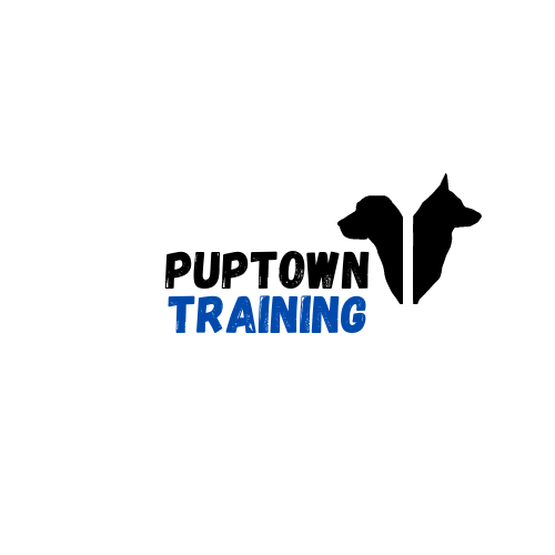 Pup Town Training